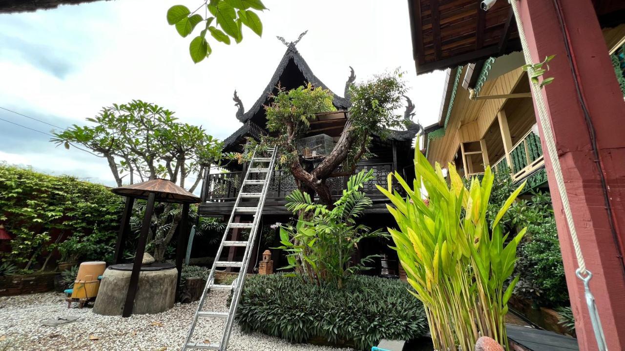 Donpin8-Timeless House Chiang Mai Hotel Eksteriør billede